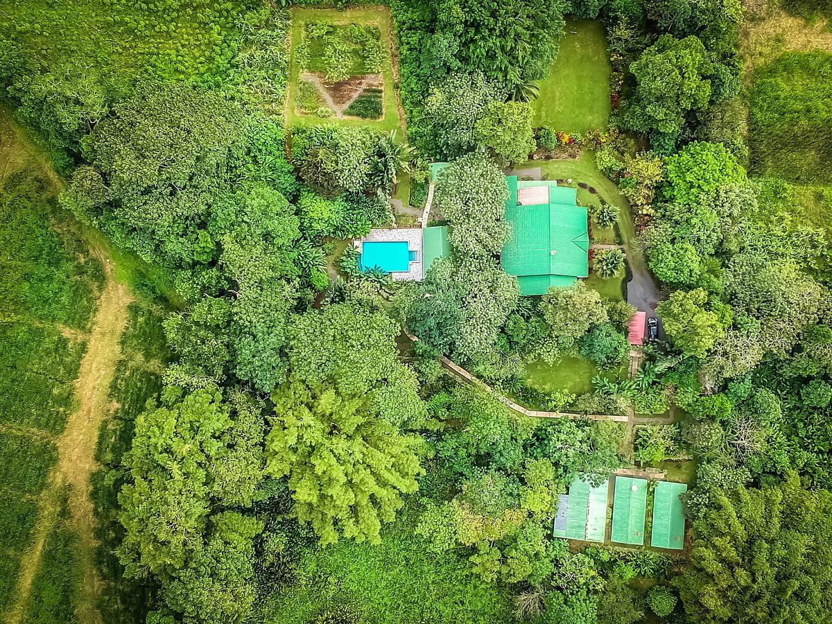 Tropical Paradise Bungalows Pital  Экстерьер фото